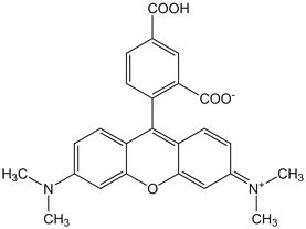 5-Carboxy-tetramethylrhodamine