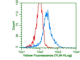 Anti-Ubiquitin Antibody, Lys63-Specific, clone Apu3, rabbit monoclonal