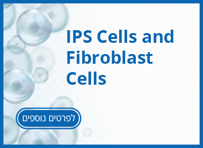 IPS Cells and Fibroblast Cells