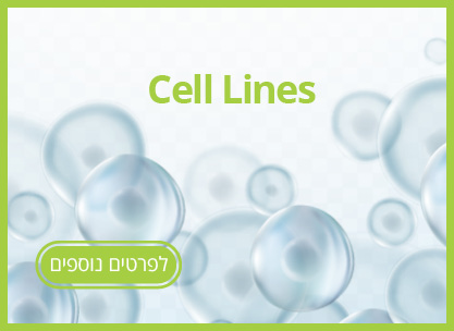 CELL LINES