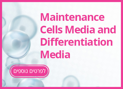 Mantanens cells Media and Differentiation Media