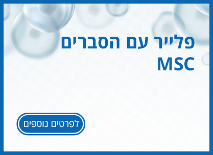 פלייר עם הסברים MSC