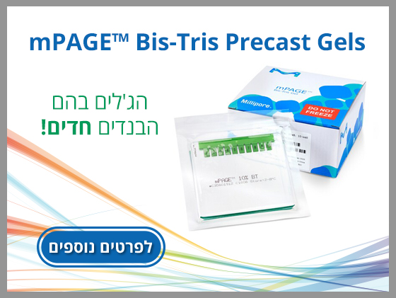mPAGE™ Bis-Tris Precast Gels