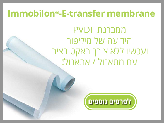 Immobilon®-E transfer membrane