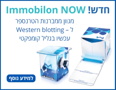 Immobilon Now