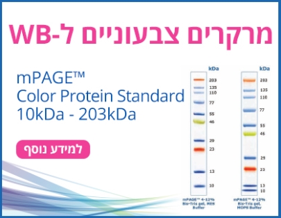 מרקרים צבעוניים ל WB