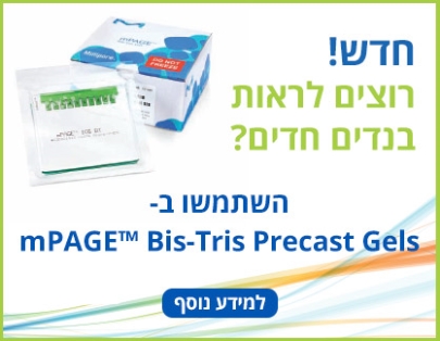 mPAGE™ Bis-Tris