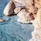 RonaCare® Ectoin IQ