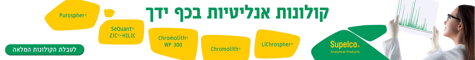 חדש 440912