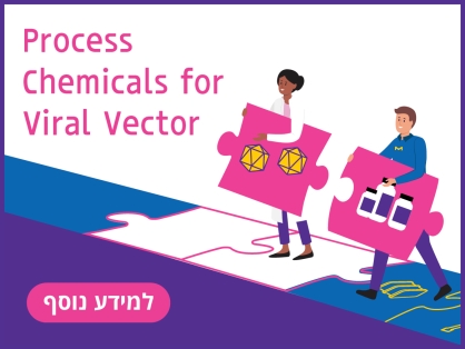 Process chemicals for viral vactor