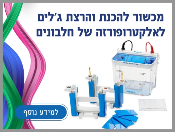 Tanks and Instruments for Gel Electrophoresis