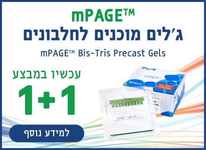 mPAGE ג'לים מוכנים לחלבונים