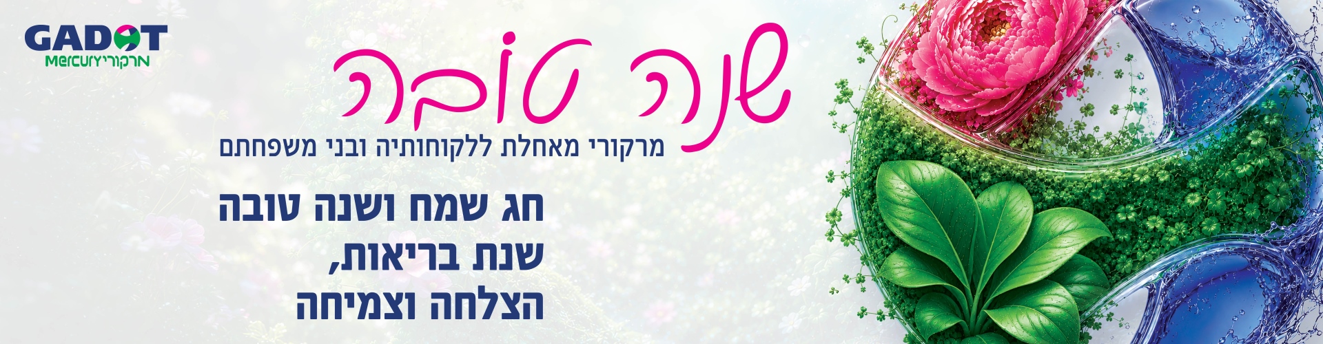 חג שמח