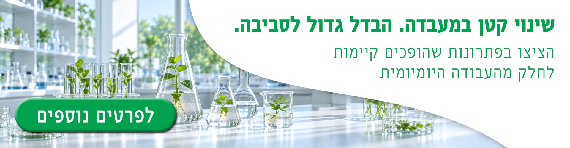 קיימות