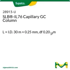 FS CAP SLB-IL76 30M 0.25MM 0.20UM