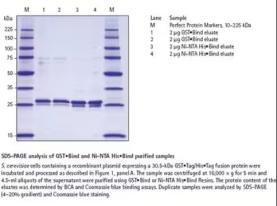 YeastBuster™ Protein Extraction Reagent
