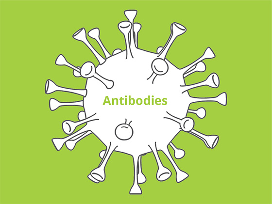 Antibodies and Inhibitors
