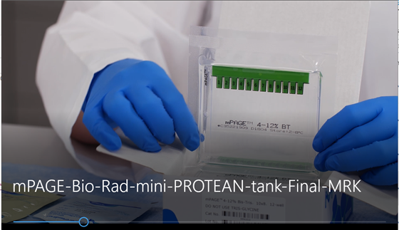 מריצים חלבונים במערכת של Bio-Rad? ראו איך משתמשים בג'לים החדשים והמדויקים שלנו במערכת - mini Bio-