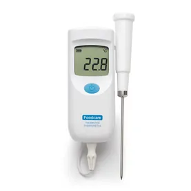 Portable thermistor thermometer with replaceable probe