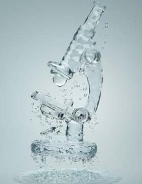 איזה סוג מים באמת צריך לכל יישום ביולוגי?