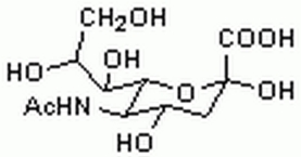 N-Acetylneuraminic Acid, Synthetic - CAS 131-48-6 - Calbiochem