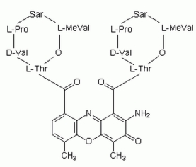 Actinomycin D, <i>Streptomyces </i>sp. - CAS 50-76-0 - Calbiochem