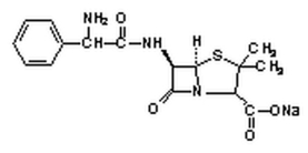 Ampicillin, Sodium Salt - CAS 69-52-3 - Calbiochem