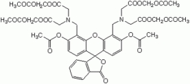 Calcein-AM - CAS 148504-34-1 - Calbiochem