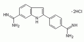 DAPI, Dihydrochloride - CAS 28718-90-3 - Calbiochem