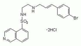 H-89, Dihydrochloride - CAS 127243-85-0 - Calbiochem