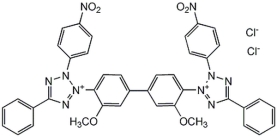 <i>p-</i>Nitroblue Tetrazolium Chloride - CAS 298-83-9 - Calbiochem