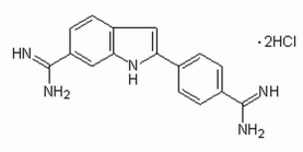 1-Pyrrolidinecarbodithioic Acid, Ammonium Salt - CAS 5108-96-3 - Calbiochem