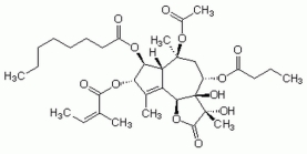 Thapsigargin - CAS 67526-95-8 - Calbiochem