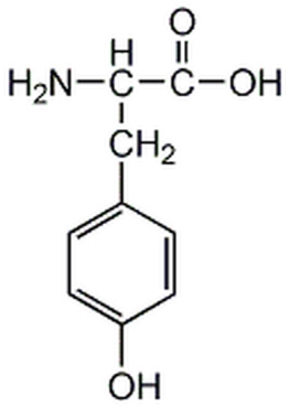L-Tyrosine, Free Base - CAS 60-18-4 - Calbiochem