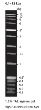 Perfect DNA™ Markers, 0.1-12 kbp