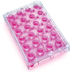 Millicell-24 Cell Culture Plate PET 1.0um 5/pk