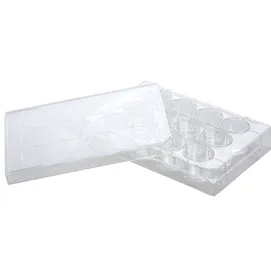 96 Well Cell Culture Plate, Flat, TC, Sterile 1/pk, 100 un.- ABDOS