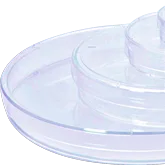 150mm Cell Culture Dish, TC, Sterile 5/pk,100 un.- ABDOS