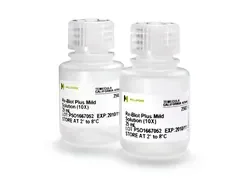 ReBlot Plus Mild Antibody Stripping Solution, 10x