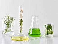 Ultrapure Water for Sensitive LC-MS Analysis of Pesticides