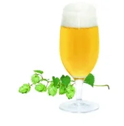 בדיקות מהירות בתהליך ייצור הבירה מבית MERCK