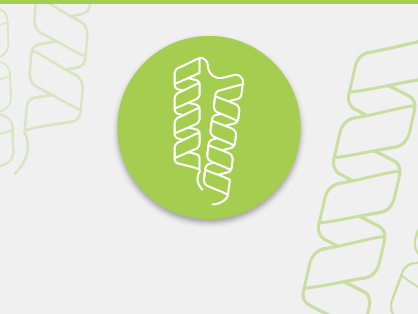 Proteins and Enzymes