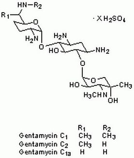 Gentamycin Sulfate - CAS 1405-41-0 - Calbiochem