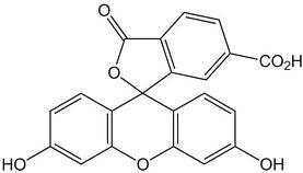 6-Carboxyfluorescein