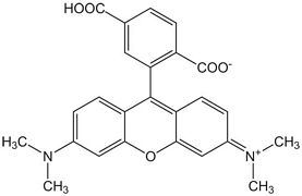 6-Carboxy-tetramethylrhodamine