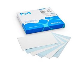 Immobilon-NC Transfer Membrane Mini Shee