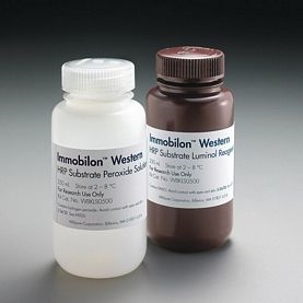 IMMOBILON WESTERN CHEMILUM HRP SUBSTRATE