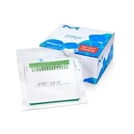 mPAGE™ 4-20% Bis-Tris Precast Gel, 10x8 cm, 12-well