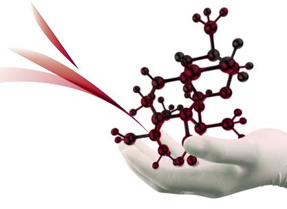 Organic Synthesis