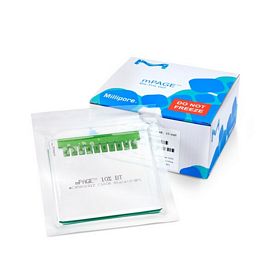 mPAGE™ Precast Gels 8% Bis-Tris, 10x8, 12-well